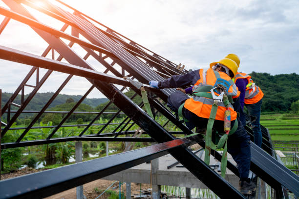Best Storm Damage Roof Repair  in Alorton, IL