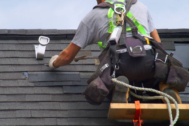 Best Roof Gutter Cleaning  in Alorton, IL