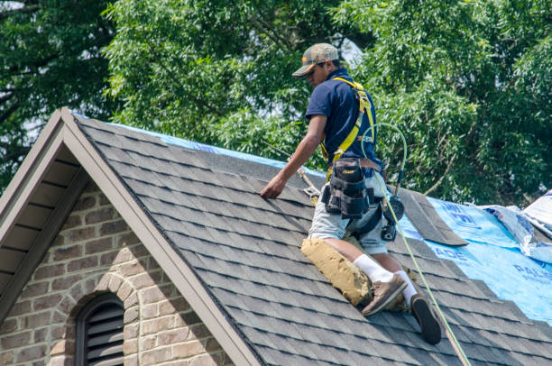 Best New Roof Installation  in Alorton, IL